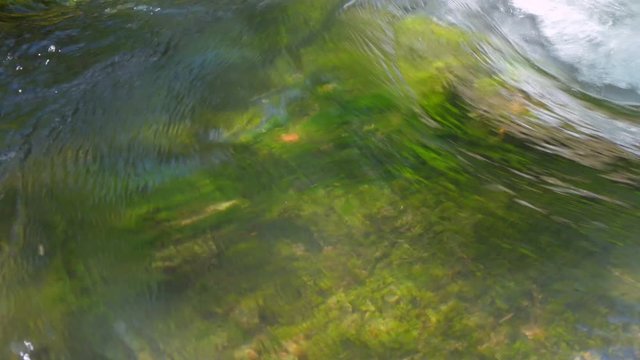 water in a fast mountain stream