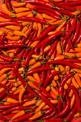 Orange and red color chilli background