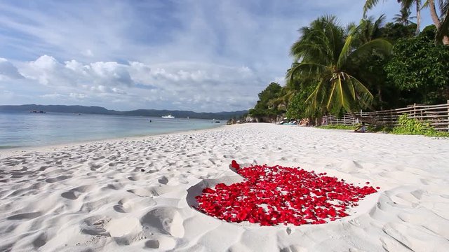 Heart made of rose petals on tropical beach with palm trees