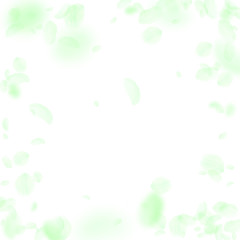 Fototapeta premium Green flower petals falling down. Symmetrical roma
