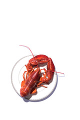 Lobster in plate on background,boil lobster