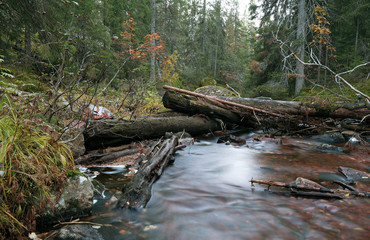 Untouched natural river running through forest in autumn, dalarna, sweden