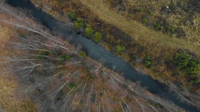 Aerial, descending, top down, birdseye, drone shot, above a river, surrounded by leafless, autumn forest, on a cold, cloudy, fall day, in Juuka, North Karelia, Finland