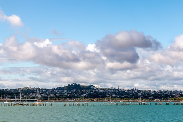Fototapeta premium Landscape of Auckland city, New Zealand.