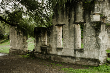 old and worn ruins, abandoned building surrounded by lots of vegetation and trees