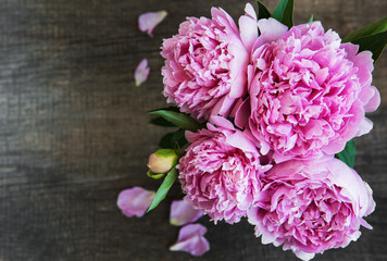Pink peony flowers