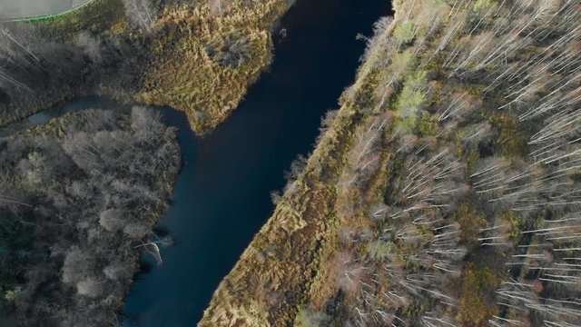 Aerial, top down, birdseye, drone shot, over a river, surrounded by leafless, autumn forest, on a cold, half cloudy, fall day, in Juuka, North Karelia, Finland