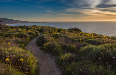 sunset on coast, San Diego, California