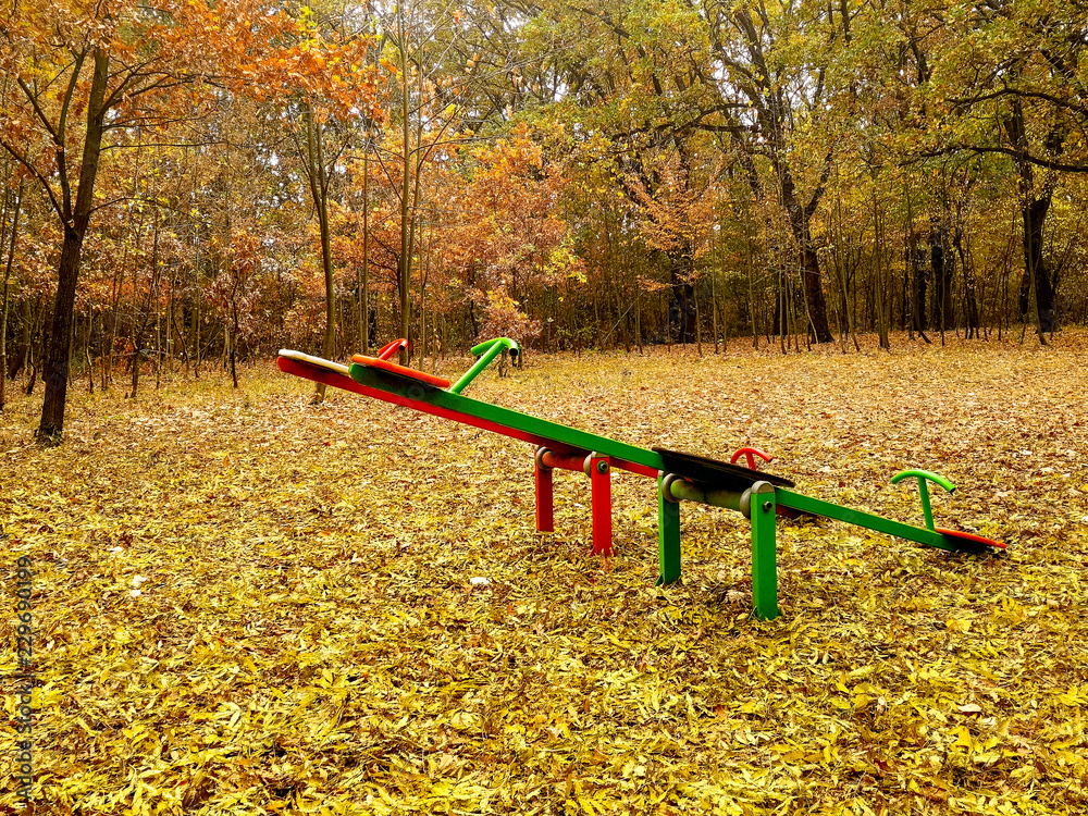 Wall mural playground in the park surrounded with forest. autumn with beautiful colors. cloudy rainy day.