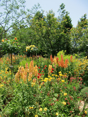 美しい庭園の花