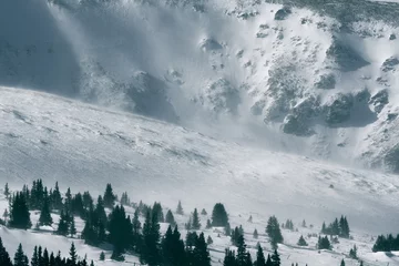 Foto auf Acrylglas Wald im Nebel Severe winter weather in the Rocky Mountains, Colorado
