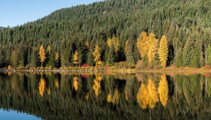 colorful trees in autumn reflecting off of water