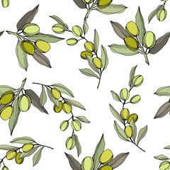 Olive tree in a vector style isolated. Green engraved ink art. Seamless background pattern. Fabric wallpaper print texture. Vector olive tree for background, texture, wrapper pattern, frame or border.