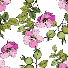 Wildflower rosa canina in a vector style isolated. Green and pink engraved ink art. Seamless background pattern. Fabric wallpaper print texture. Vector flower for background, wrapper pattern.