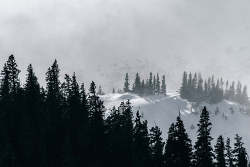 Zwaar winterweer in de Rocky Mountains, Colorado
