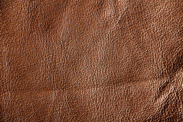 Brown skin texture close up. Natural, environmentally friendly material