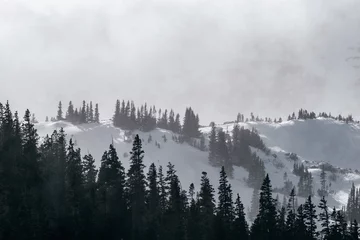 Fotobehang Mistig bos Zwaar winterweer in de Rocky Mountains, Colorado