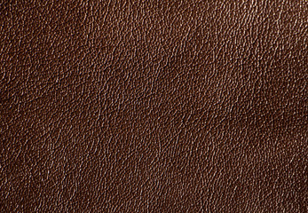 Fototapeta premium Brown skin texture close up. Natural, environmentally friendly material