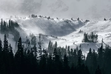 Fototapete Wald im Nebel Strenges Winterwetter in den Rocky Mountains, Colorado