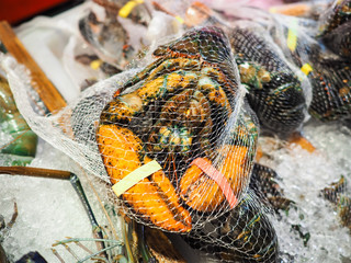 Fresh Lobster ready for sale in the seafood market.