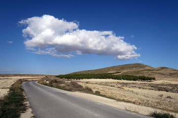 montagne avec nuage blanc à côté de la route