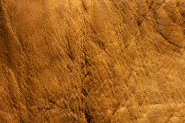 Yellow skin texture. Natural, environmentally friendly material