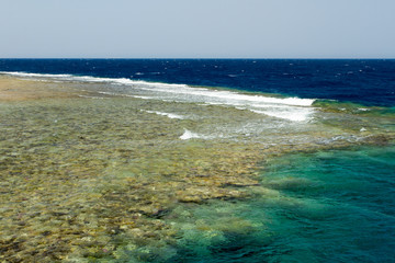 egyptian red sea diving site