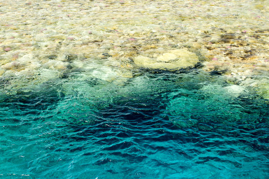egyptian red sea diving site