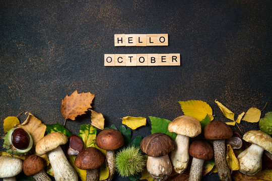 Hello October card. Mushrooms Boletus, chestnuts, wild berries, rowan and Autumn leaves background. Autumn composition. Fall season mood. Top view