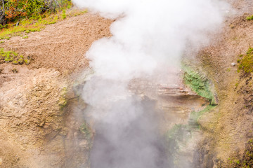 Yellowstone national park landscape. Geothermal activity, hot thermal springs with boiling water and fumes at Yellowstone National Park, USA