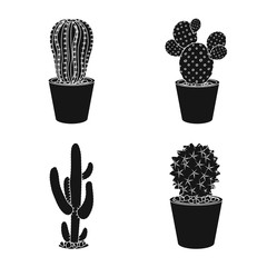 Vector design of cactus and pot symbol. Set of cactus and cacti stock symbol for web.