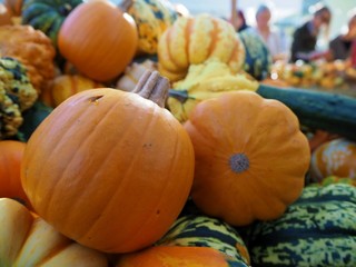Pumpkins on a market stand for Helloween 