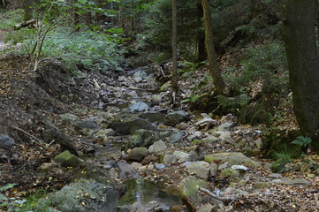 Suental im Harz, Sachsen - Anhalt