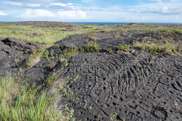Pu`u Loa Petroglyphs carved into solid black lava with sea view, in Volcano National Park, Hawaii