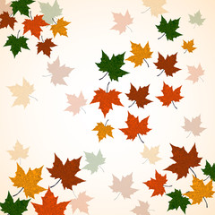 Autumn background of maple leaves. Colofrul image