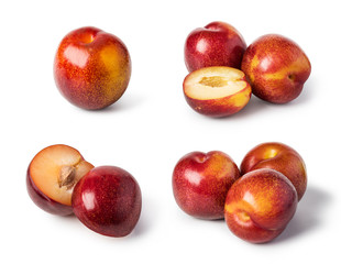 plum