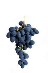 Black grapes with drop of water isolated on white background