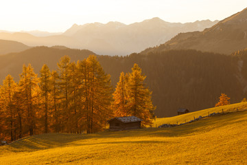 Idyllic atumn scene with fall colored larch trees and alpine hut at sunset
