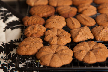 Home made biscuits or cookies