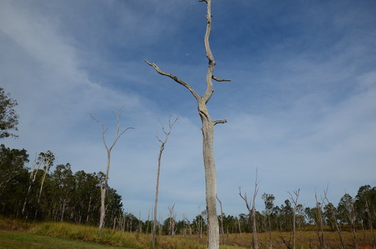 Cyclone Damage, Disaster Zone, Australia