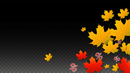 Vector Percentage Sign and Autumn Leaves Confetti on Transparent Background. Percent Sale Background. Business, Economics, Finance Print. Discount Illustration. Promotion poster. Black Friday Banner. 