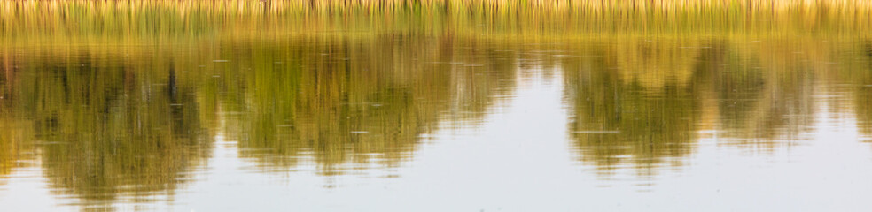 Reflection of trees on the water as a background