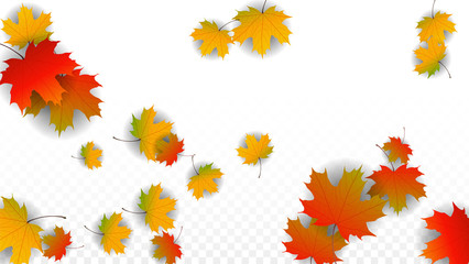 September Vector Background with Golden Falling Leaves. Autumn Illustration with Maple Red, Orange, Yellow Foliage. Isolated Leaf on Transparent Background. Bright Swirl. Suitable for Posters.