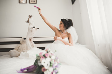 Fototapeta na wymiar Beautiful luxury bride plays with funny fluffy dog