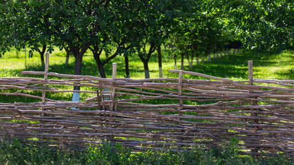 Fence of wooden branches in the garden