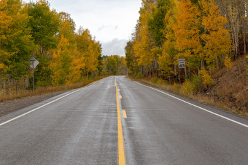 Empty road colorado fall colors