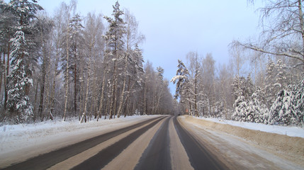 Snow road in the forest in winter
