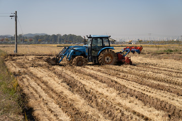 Tractor in field