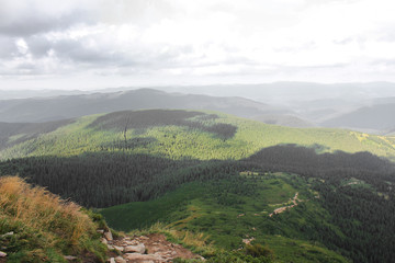 Mountains and forest