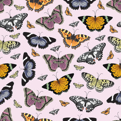 Beautiful Butterfly Flying Colorful Seamless Background Repeatable